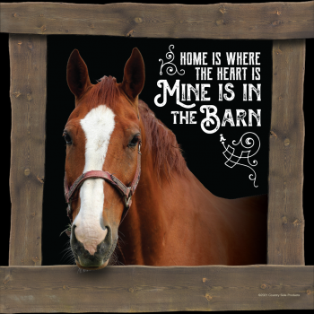 Mine is in the Barn Die Cut Sign 14" x 14"